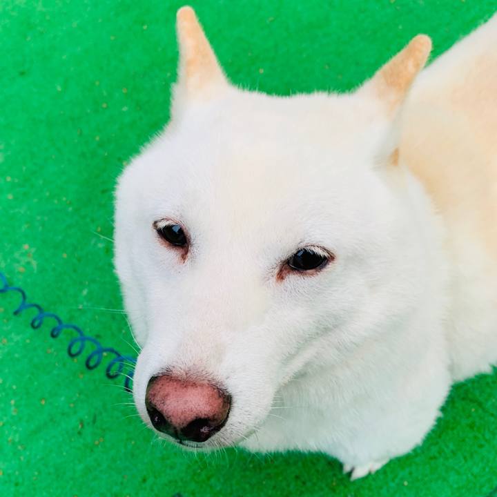 1bd53d45 3a7f 4850 93b3 5b4a12aebf23 1601069453481