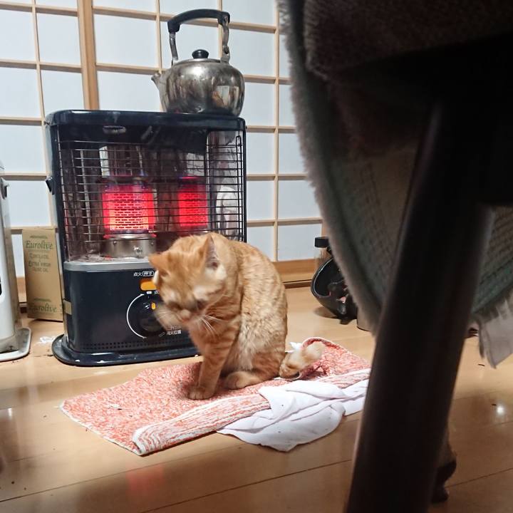 1bd55f90 08af 41e4 b3ae e6efcdf2ae7d 1637792564358