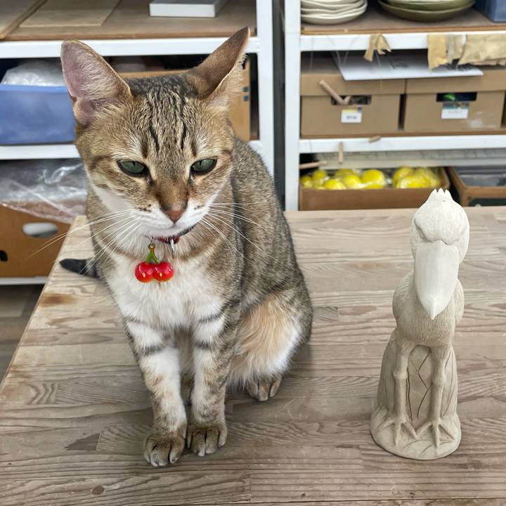 1bd56351 91dd 47b5 878d ad683aa74d20 1725194050304