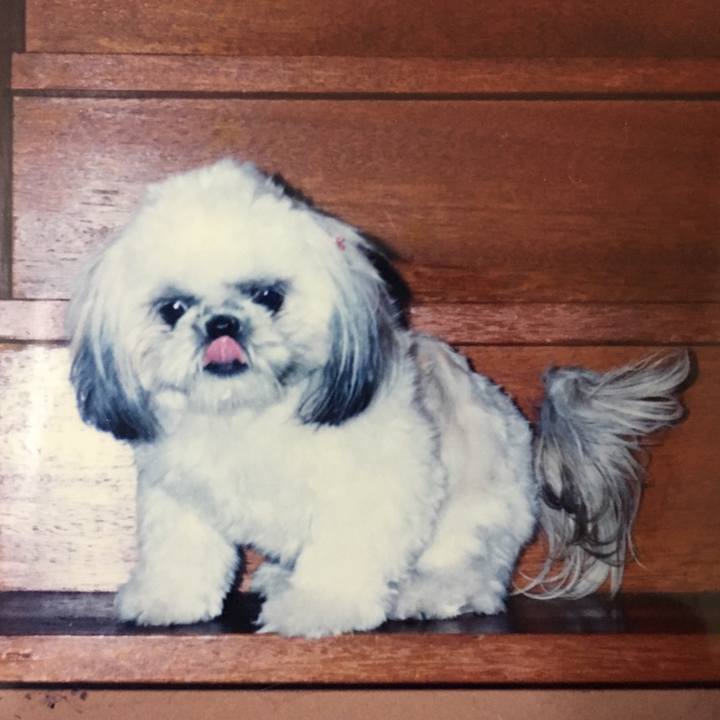 1bd57976 10a2 4dbf bd31 bcff1bac7ea9 1558782644426