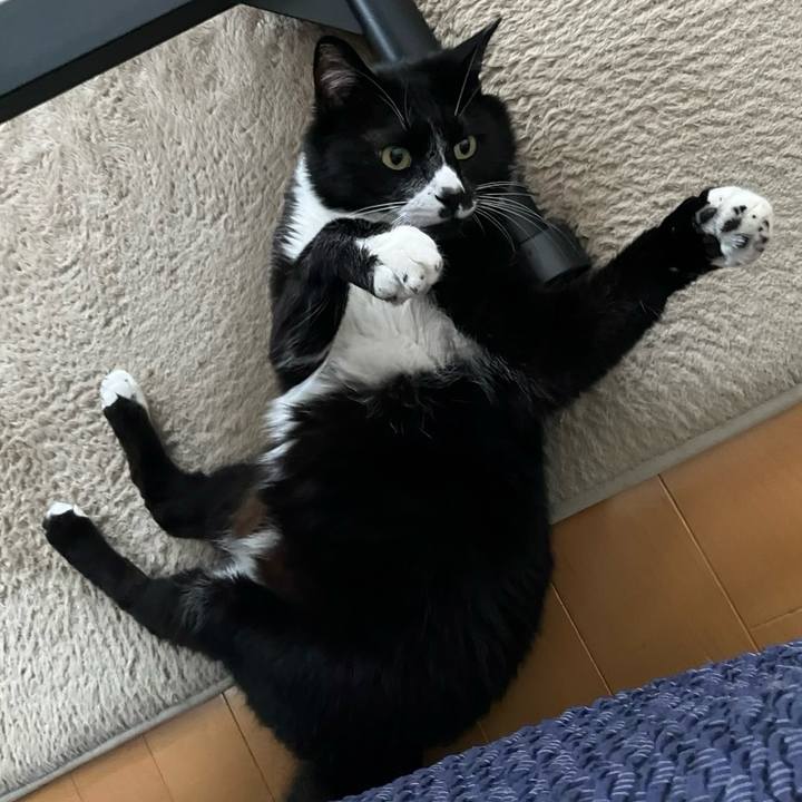 1bd5a5cc 5115 444c aa2b a816452d80d0 1721792141276