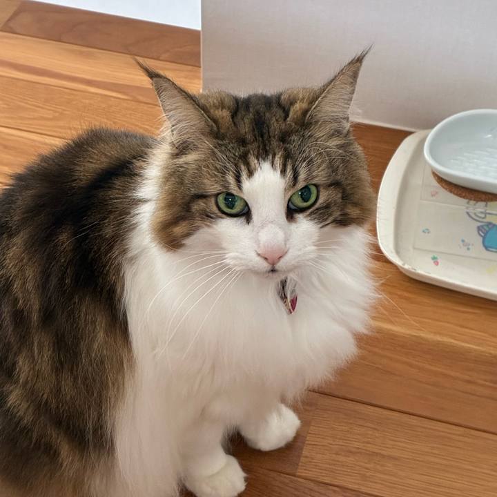 1bd5aa23 65fb 42f1 879f d44ad1c48bca 1771374751712