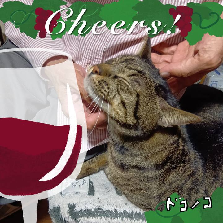 1bd5ba1e 19d9 4503 bfb6 005939e15fb3 1761118144088