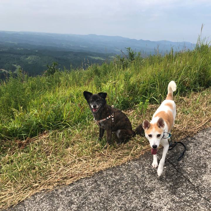 1bd5d16e 24ef 46c6 ade5 a735418a8a9e 1599214511182