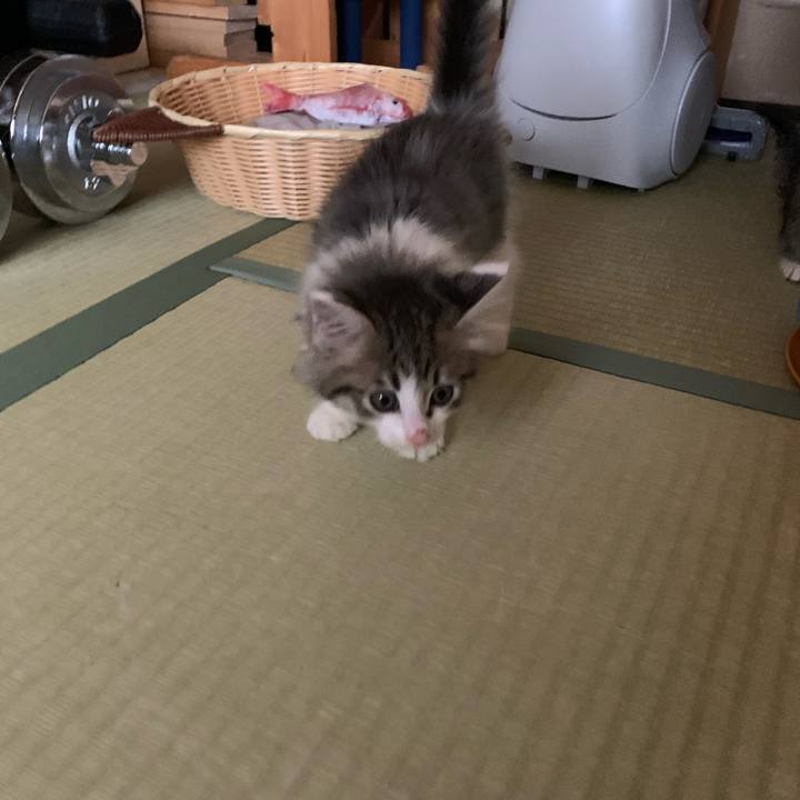 1bd5f799 801c 4040 a446 22fc9155ee22 1686174530725