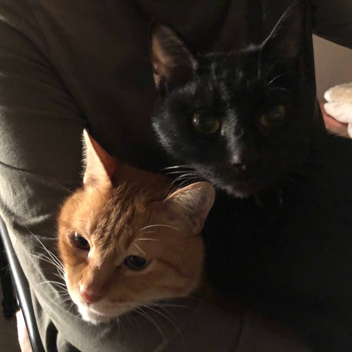 1bd5fea8 ebc5 4dd4 a431 e2751a9f5389 1670938443965