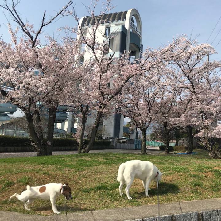 1bd6197d a829 4be0 a95b 280d22526e62 1522548259586