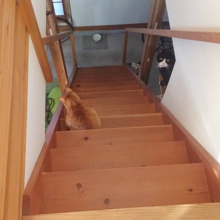 1bd65bd2 6706 4764 9f77 8b5f77d1cf10 1547422631701