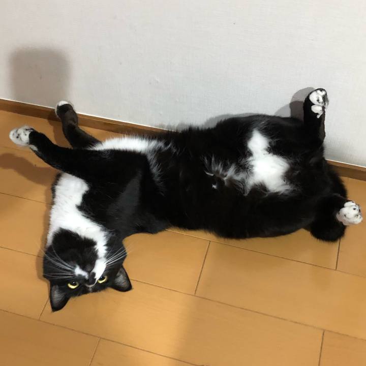 1bd66719 cd11 4105 ac4f 13975a8832fb 1652845775154