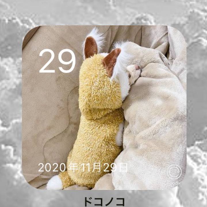 1bd6731f 475a 48d3 81a7 869188cc14cd 1638155085645