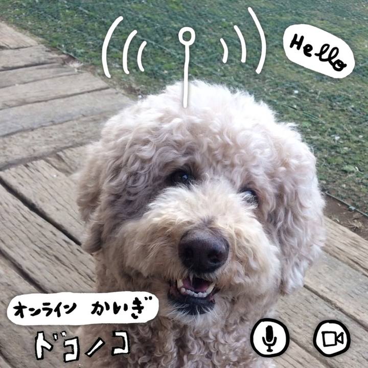 1bd67b5a 8e65 44b3 ab26 3e07250b9565 1590707022648