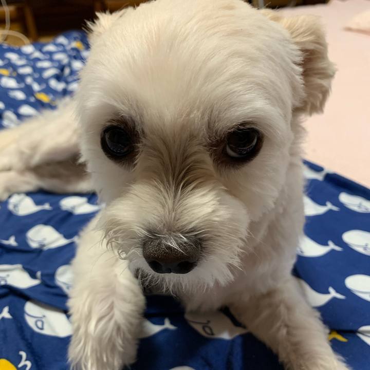 1bd67b71 1ff1 4786 bc03 7ce0a47a0495 1568716470737