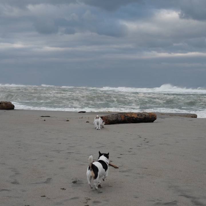 1bd705d1 c967 4fbf 806f e9a92650fe79 1510460379810