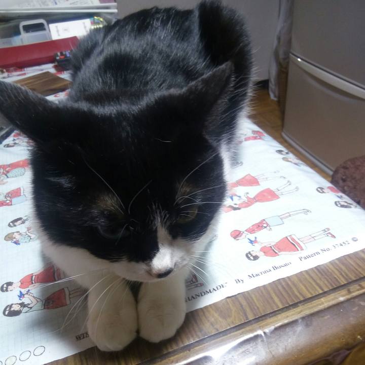 1bd70924 2f50 42ff 9f58 ee81c911ca28 1522318884124