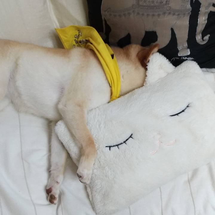 1bd72701 57c2 4713 8f18 24ce0a2096b3 1560312197610