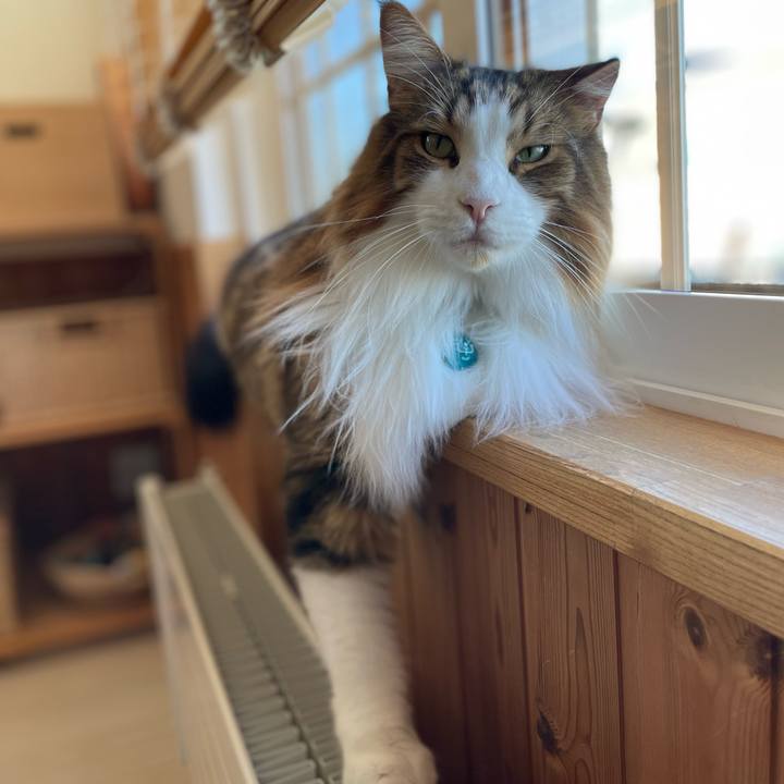 1bd748b1 d1d8 4892 9594 6faa19f441c0 1726436674127