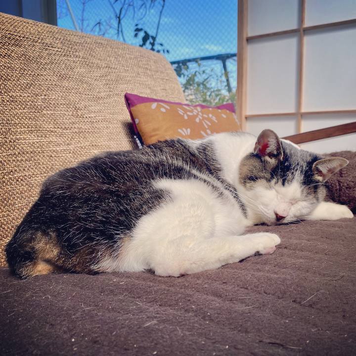 1bd765d1 3d83 4949 b276 6926bd209608 1583036272443