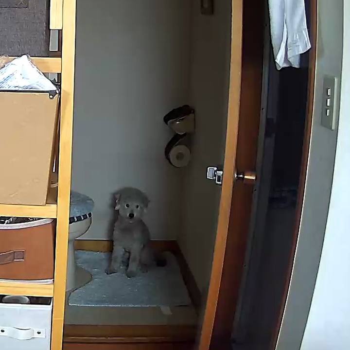 1bd76c0f 1798 417e 81bd a02690fa0391 1595997880268