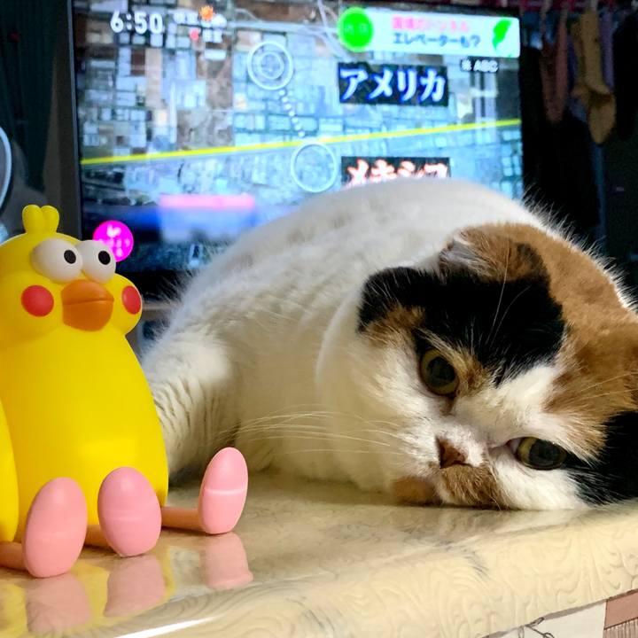 1bd781bd d665 4fe4 b9e1 17aa2474829a 1581464728443