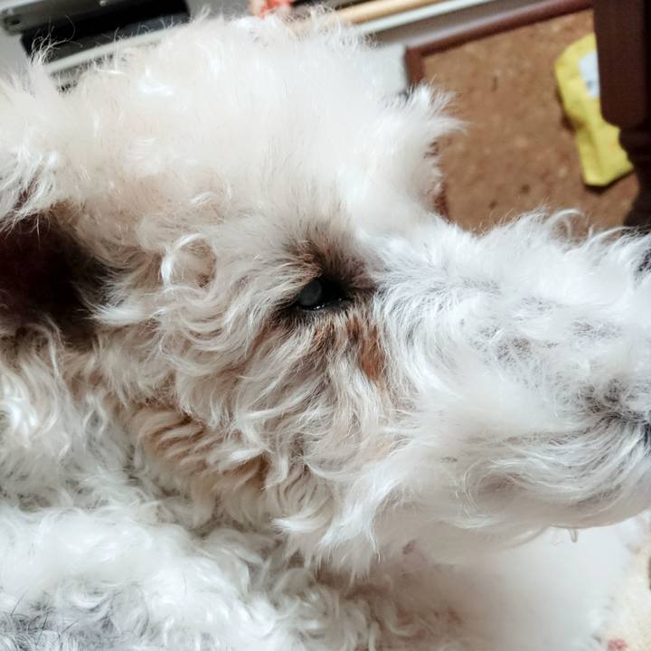 1bd78808 2ded 472c 80e1 9b3797cda083 1514727707934