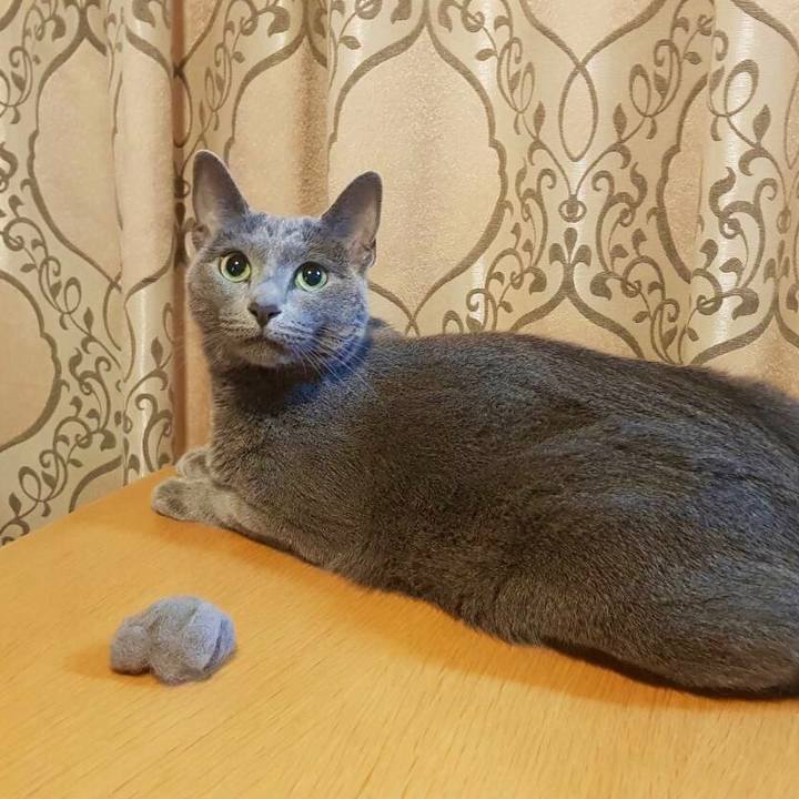 1bd796c4 ca73 488e 9bb6 68ea75370e7f 1625402682179