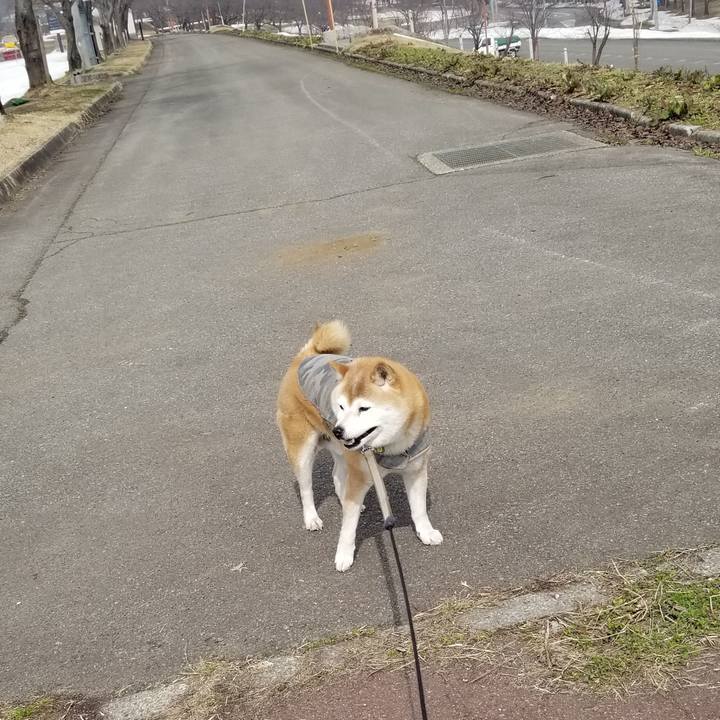 1bd7d9cd 8739 484e aa2e 4de7ada88a58 1679027546530