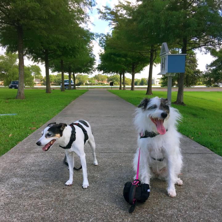 1bd7f21e f88e 4360 b2b2 b8c201dd6155 1566689927866