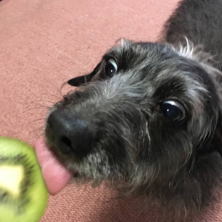 1bd82bfc 58ac 460a 9a25 a033c98a98fe 1584832454168