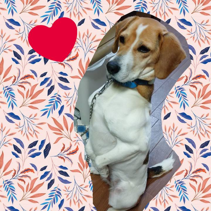 1bd8384d d402 4f14 87a3 0edeffc62819 1615015482461