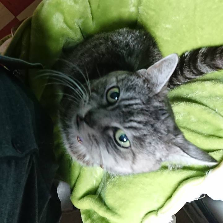 1bd83b16 9bae 4b46 bd65 e27b3087e2f1 1583790028196