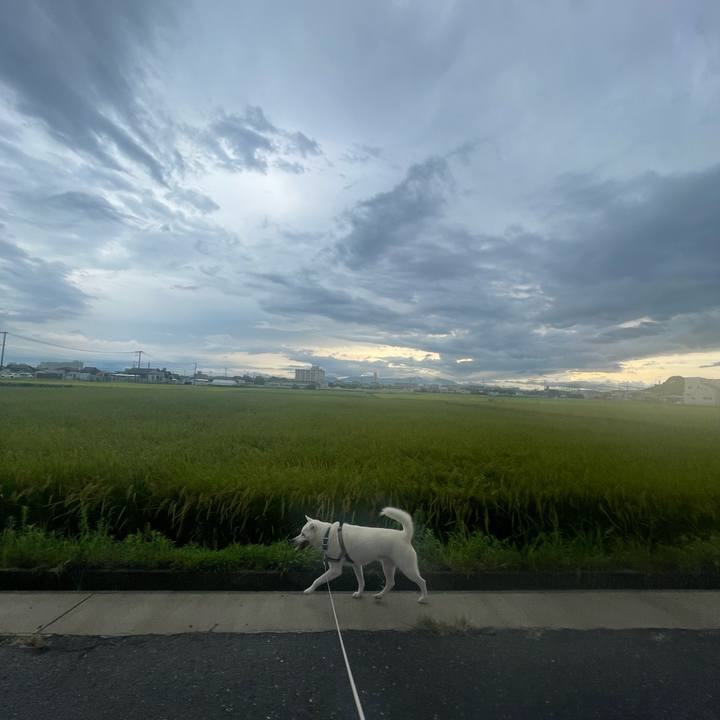 1bd845ca 44e6 4c1e ba8f 2cc82399e91b 1757803307394