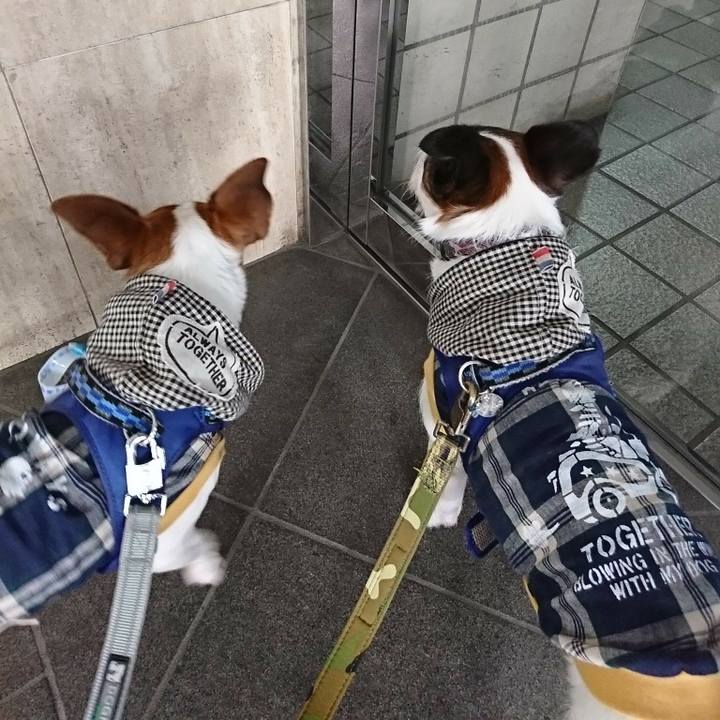 1bd882db adf6 4cbf 8043 8480948306f1 1526775475439