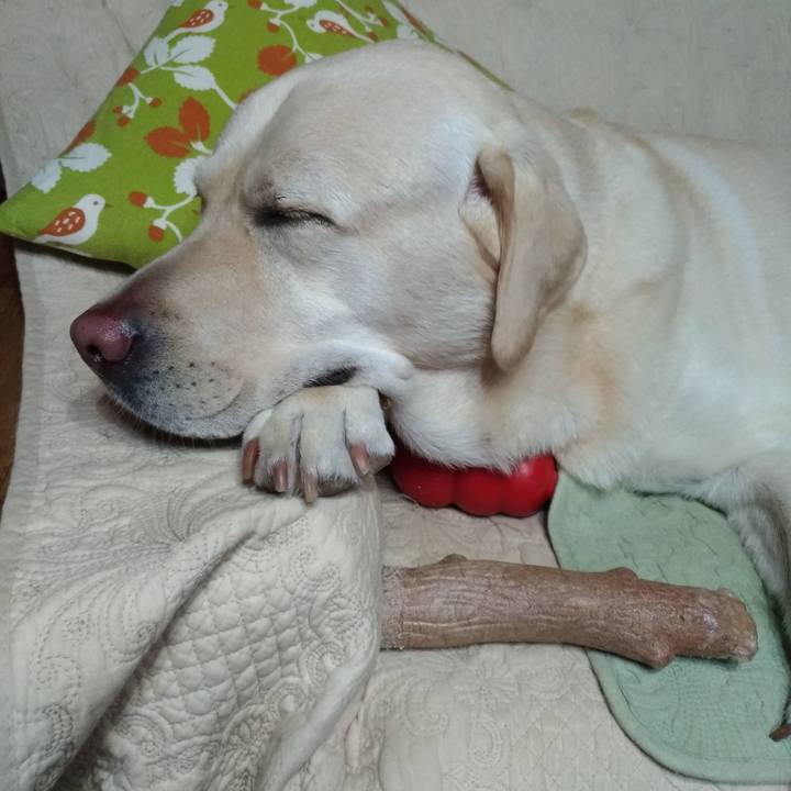 1bd8aea1 aded 45ec 97ce b3ebb66ec4d4 1602393974541