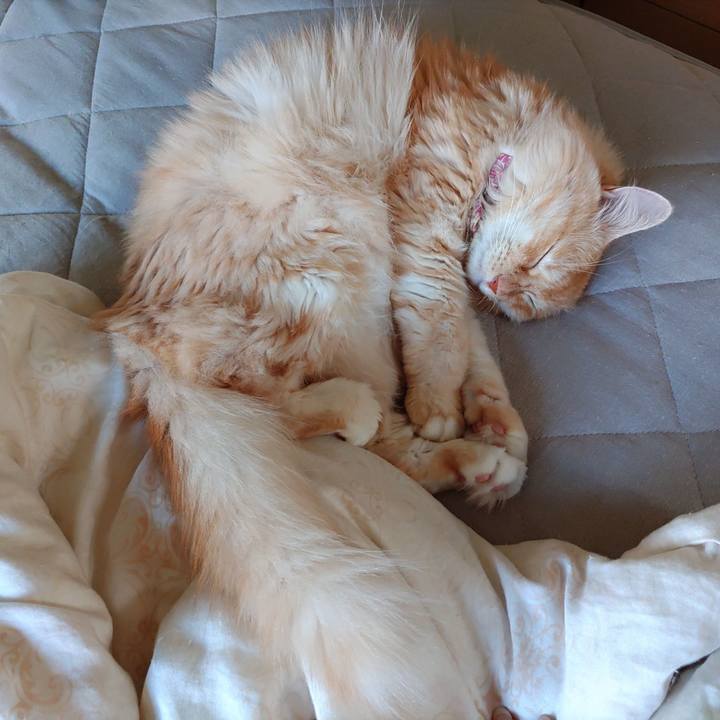 1bd90ea7 b6b8 48b1 b69a 1934bb9e8691 1693118489568