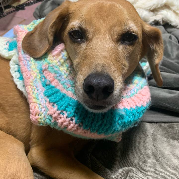 1bd9175d 4449 42ee a6c1 74f71bb8448a 1576420185224