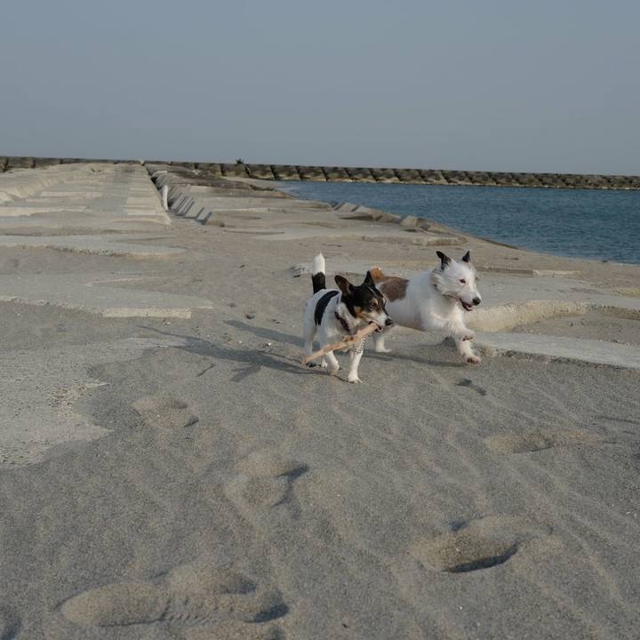 1bd91944 d8b7 4706 8092 b87f007e1f31 1521000065867