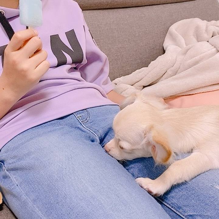 1bd96fbe 424e 48f0 8e5e 79f01fcf62e0 1594632459079