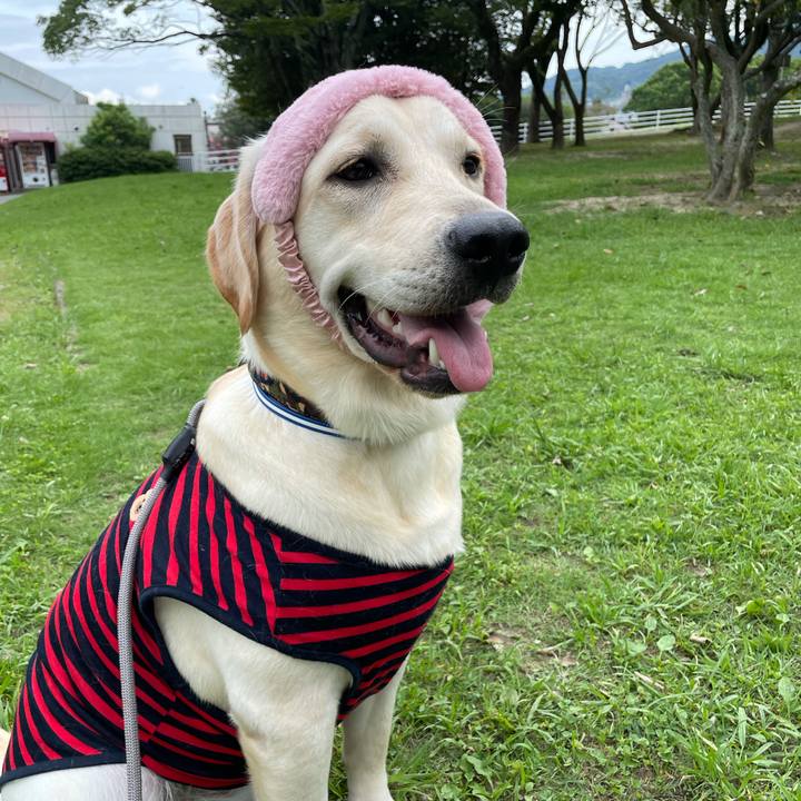 1bd99240 5482 43d1 9778 48420c272dc8 1631051006890