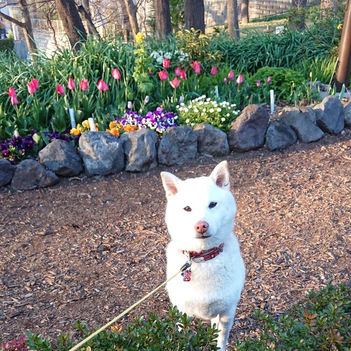 1bd9bda4 38f0 49d5 9030 22e919990f55 1521968315479