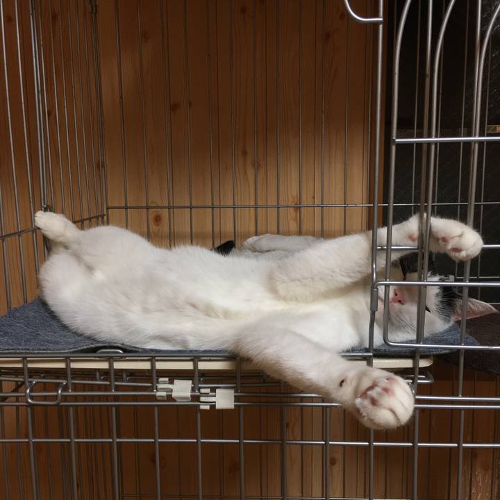 1bd9cebb aae3 4b6b 9ccd 5ef2fd5a18d5 1533828591396