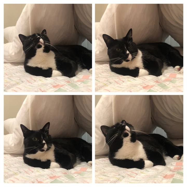 1bda485b 6bee 4cb6 8aef 2e89aaed0d88 1559079031714