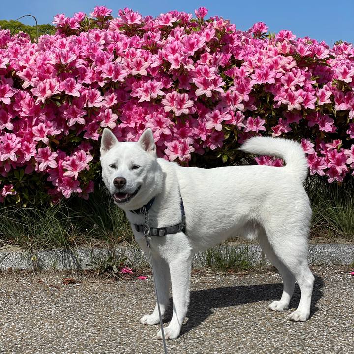 1bda9813 0739 4070 966c 19be0d516842 1618104154419