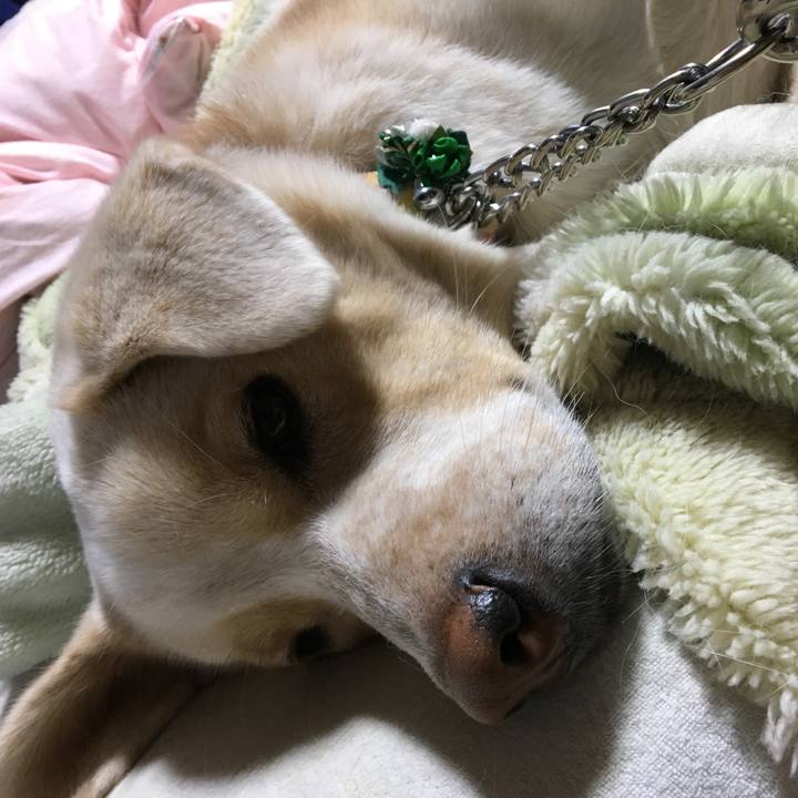 1bdaa04e 2ee3 4e36 9555 b7518ea70f93 1514461499473