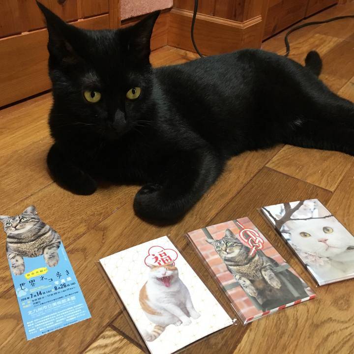 1bdad7a3 25c7 423d 9aa9 b43bfbc9593b 1532762001864