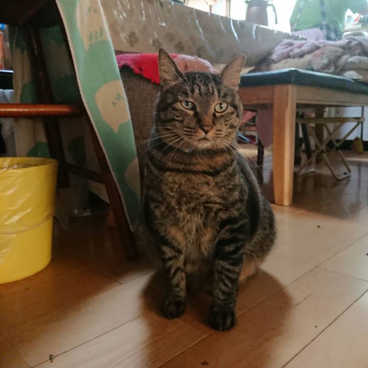 1bdaf2ac ea08 48ae a49d 0dc46945560f 1660686210021