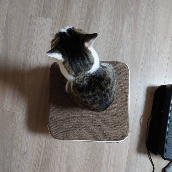 1bdb130c f5de 4ac8 9d01 cb57adbbaded 1746992145412