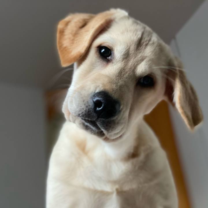 1bdb1f4a 02fa 4e75 85ed f51adb61ba30 1613773290234