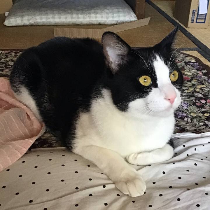 1bdb64a8 1d66 46cd b600 b5ffe43cabba 1653705508723