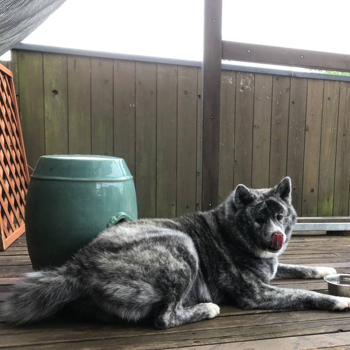 1bdb694b 99fc 4ad2 9e82 682ebd4381db 1591486675375