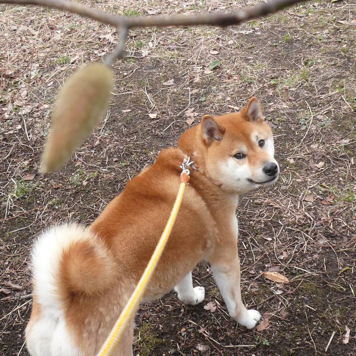 1bdb6e93 7377 471d 8f63 465d9f198f30 1614509982180